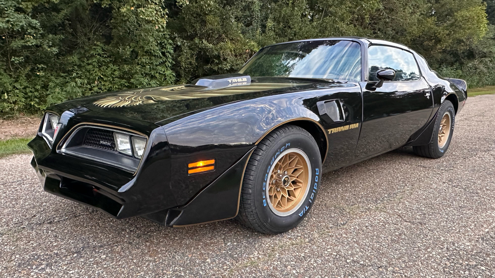 0th Image of a 1979 PONTIAC TRANS AM