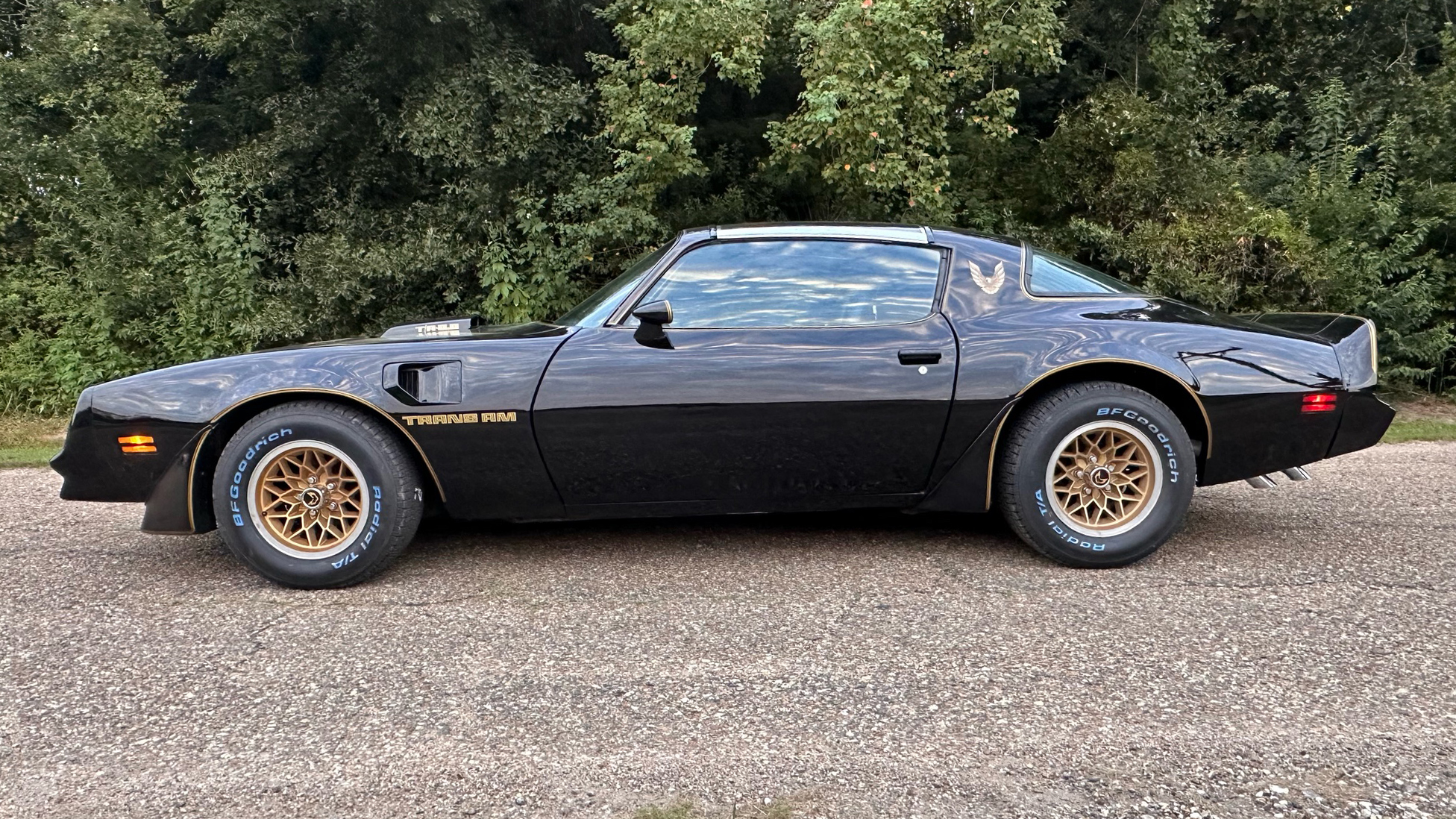 4th Image of a 1979 PONTIAC TRANS AM