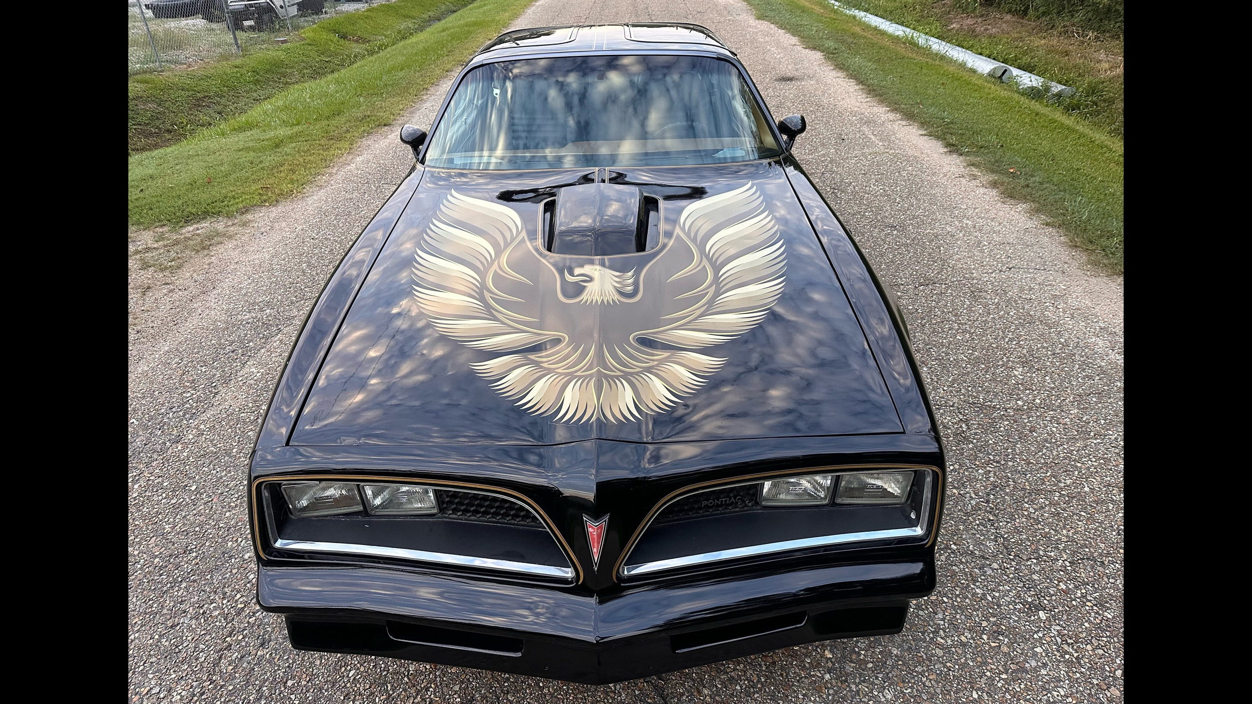 6th Image of a 1979 PONTIAC TRANS AM