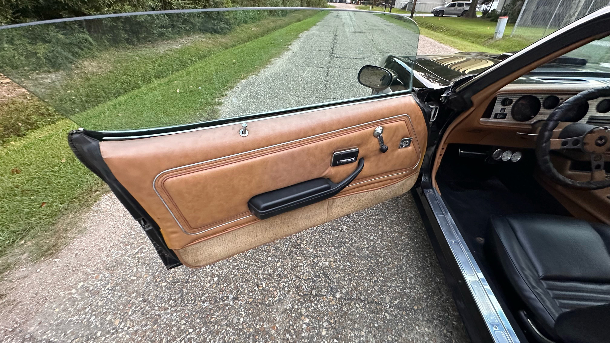 8th Image of a 1979 PONTIAC TRANS AM