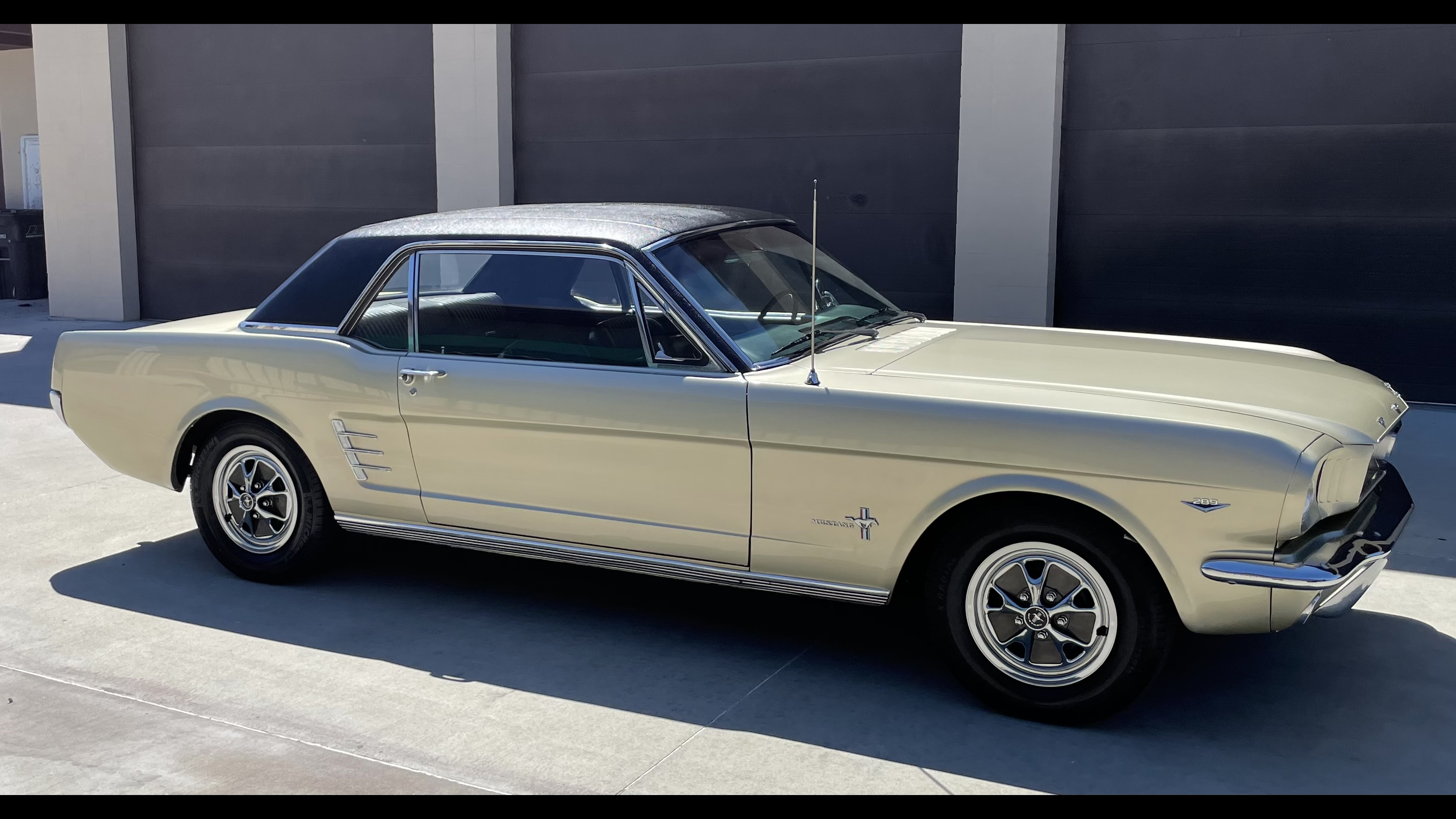 1st Image of a 1966 FORD MUSTANG