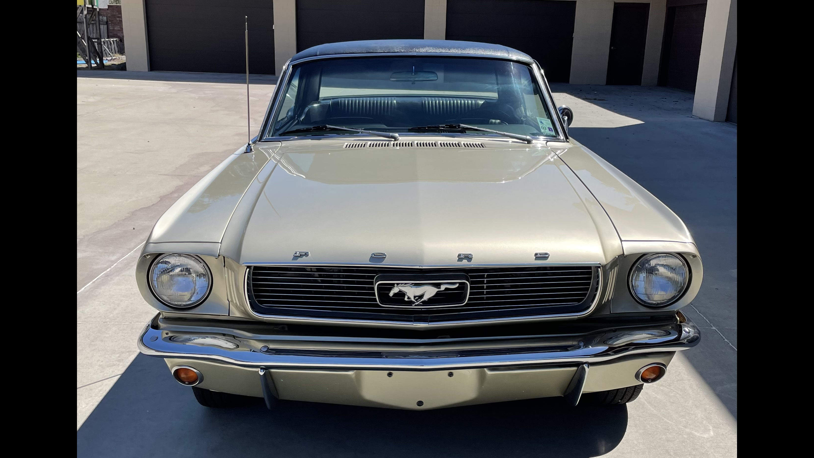 5th Image of a 1966 FORD MUSTANG