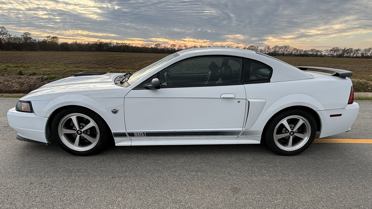 2nd Image of a 2004 FORD MUSTANG MACH 1