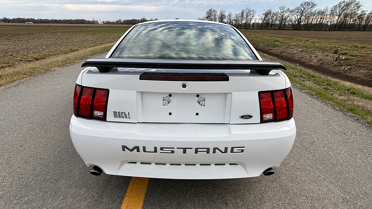 4th Image of a 2004 FORD MUSTANG MACH 1