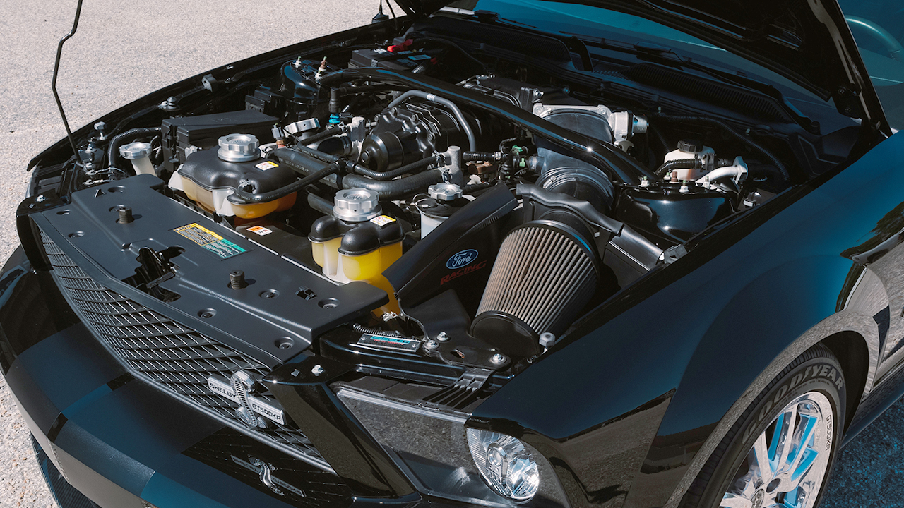 25th Image of a 2009 FORD MUSTANG SHELBY GT500