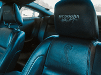 Image 13 of 29 of a 2009 FORD MUSTANG SHELBY GT500