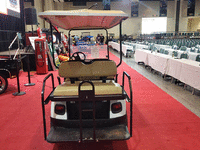 Image 5 of 7 of a N/A GOLF CART LIMO CART