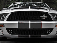 Image 10 of 30 of a 2008 MUSTANG GT500 KR